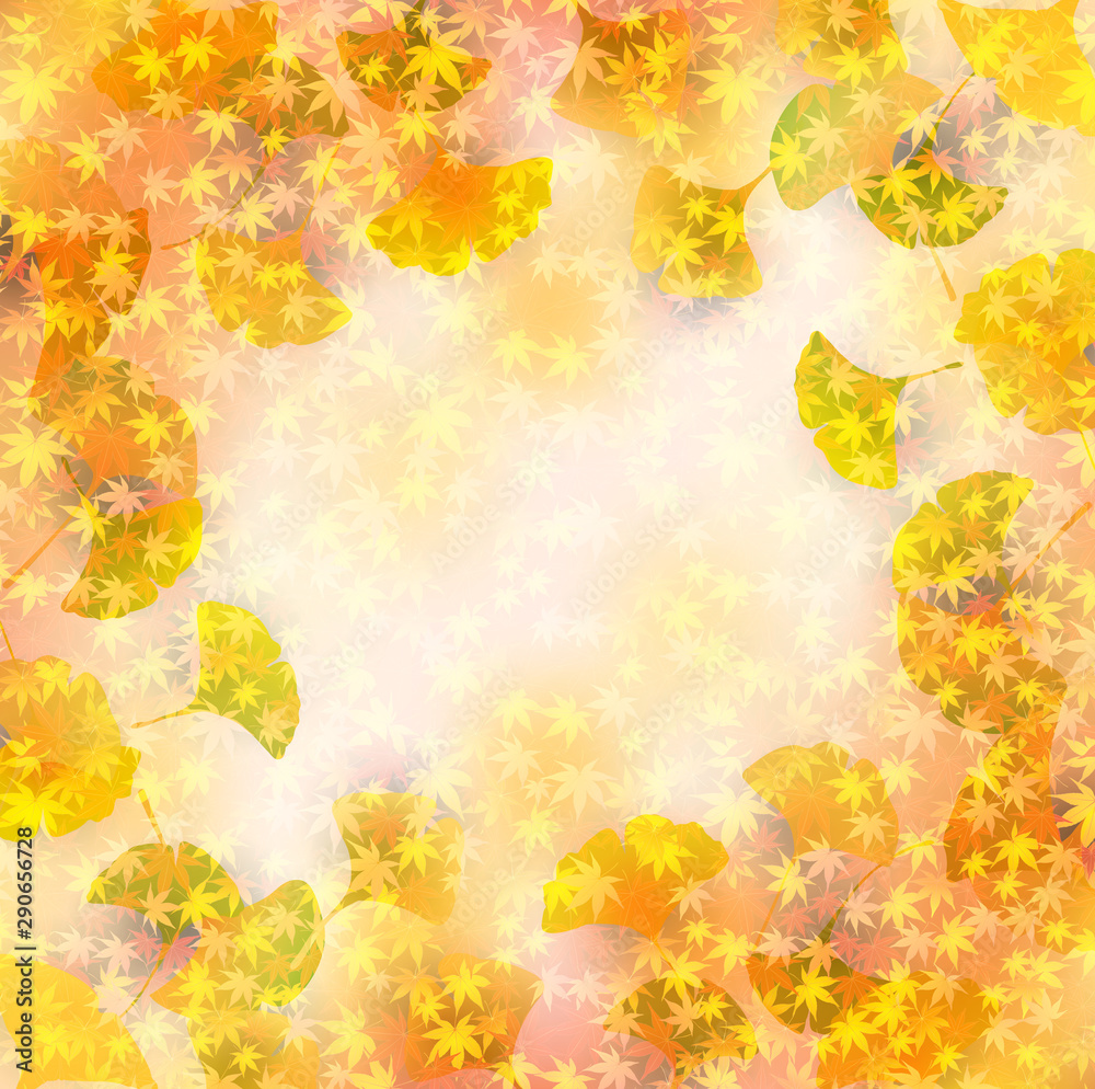 紅葉 もみじ 秋 背景 紅葉 もみじ 秋 背景