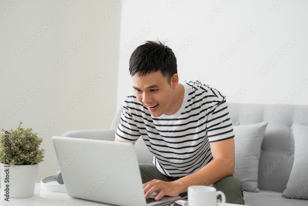 Young handsome man sitting with laptop in living room and smiling - obrazy, fototapety, plakaty 