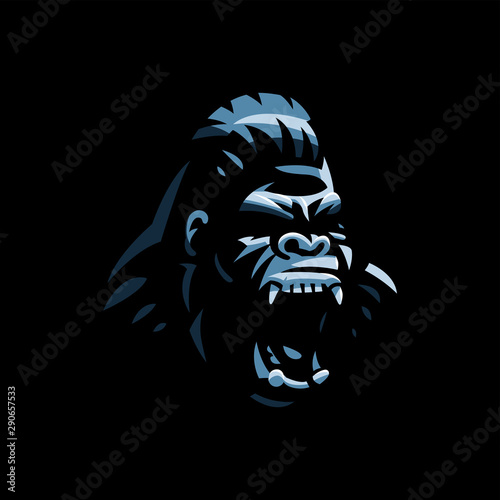 Head of an angry gorilla.
