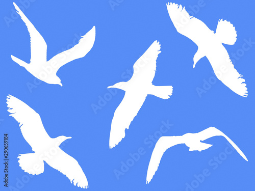 white silhouettes of flying birds on a blue background.