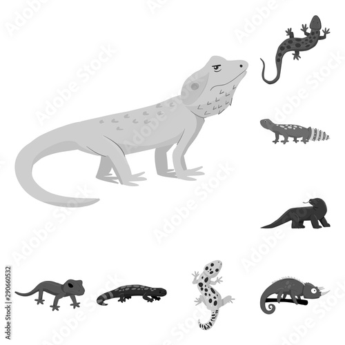 Vector illustration of wild and exotic icon. Collection of wild and fauna stock symbol for web.