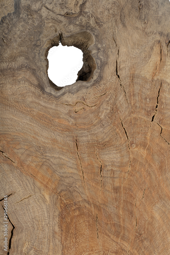 Obraz premium Beautiful texture of old carved stained oak.