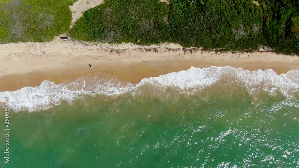 Aerial top view of tropical white sand beach and turquoise clear sea water with small waves and palm trees background. Praia do Forte, Bahia, Brazil. Travel tropical destination Aerial top view of tropical white sand beach and turquoise clear sea water with small waves and palm trees background. Praia do Forte, Bahia, Brazil. Travel tropical destination