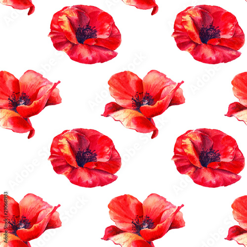 Red poppies on a white background. Floral seamless pattern with big bright flowers.Summer watercolour illustration for print textile fabric wrapping paper.
