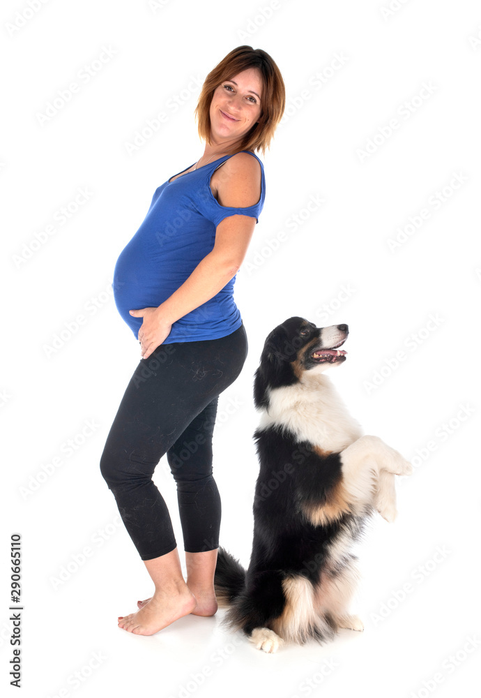 pregnant woman and dog pregnant woman and dog