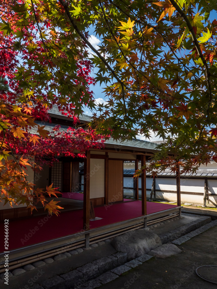 House and Maple in Matsuyama Castle area