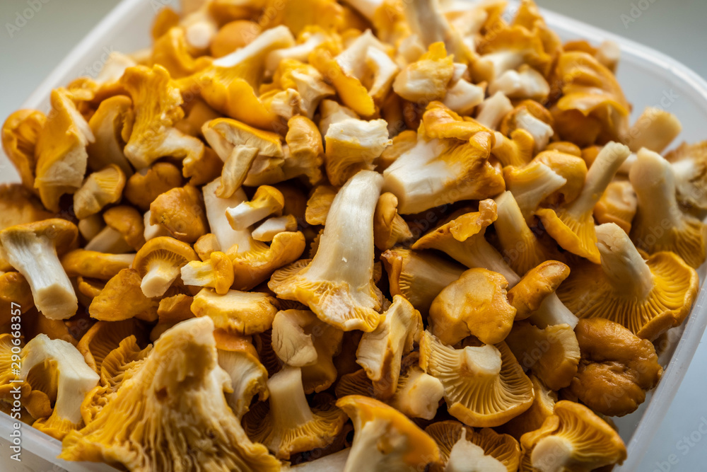 Сhanterelles. Mushrooms. Vegetarian food. Close up Сhanterelles. Mushrooms. Vegetarian food. Close up