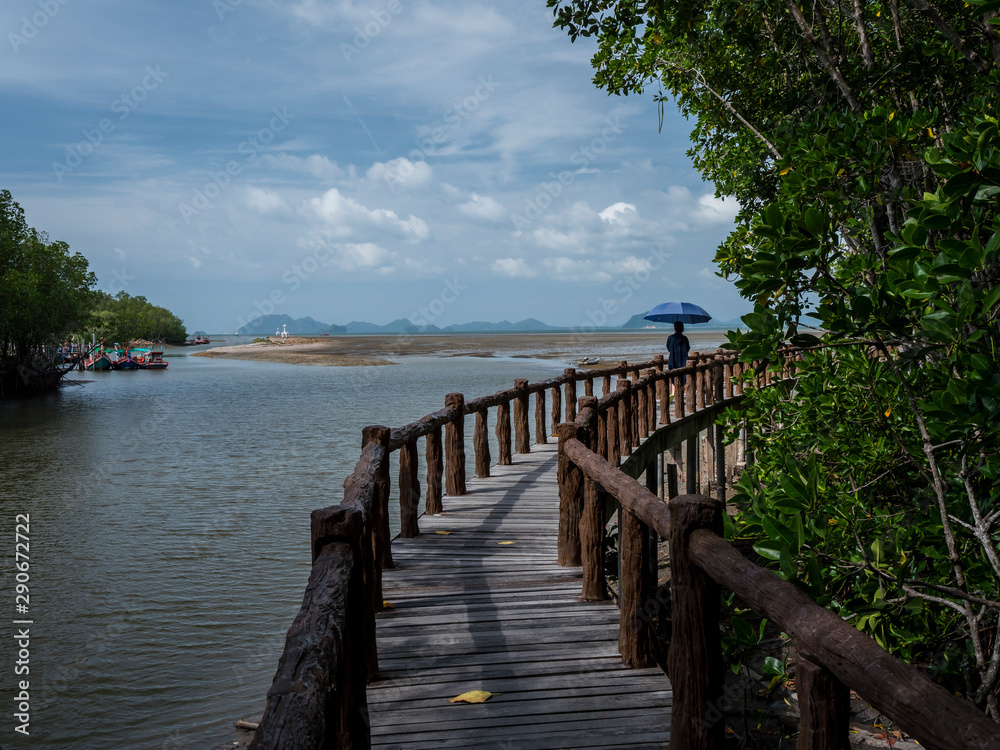 Fototapeta premium Bridge in a mangrove from Chumphon national park, Thailand