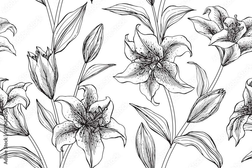 Lily flower and leaves pattern seamless background illustration.