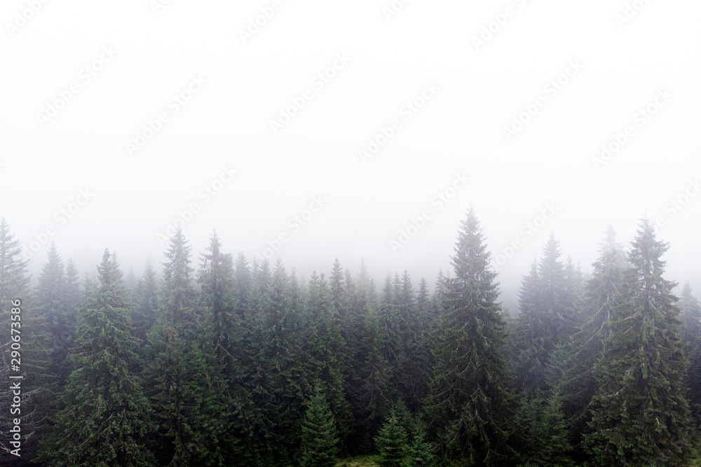 Cloudy Carpathian Mountains