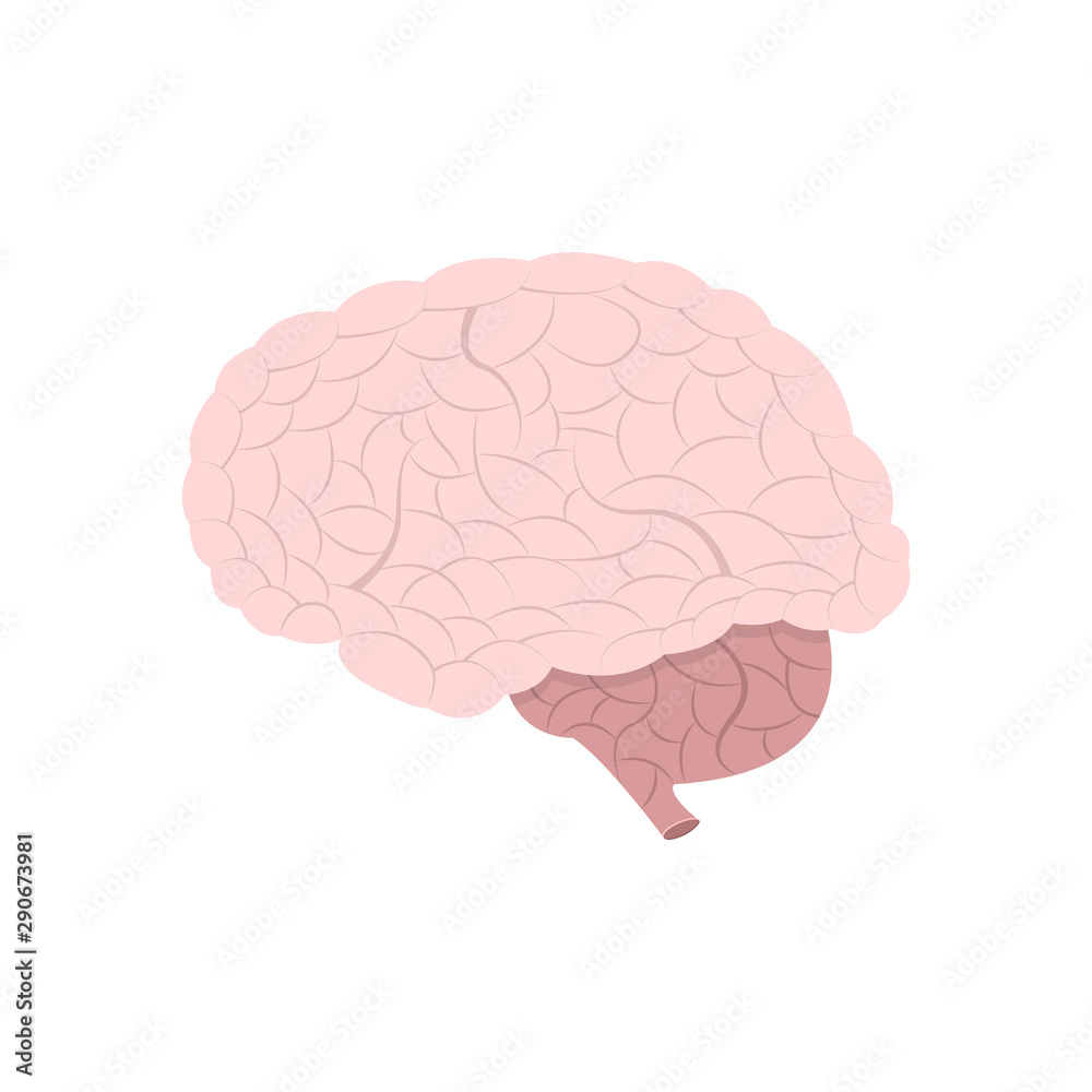 Human Brain Logo. Vector illustration. Human Brain Logo. Vector illustration.