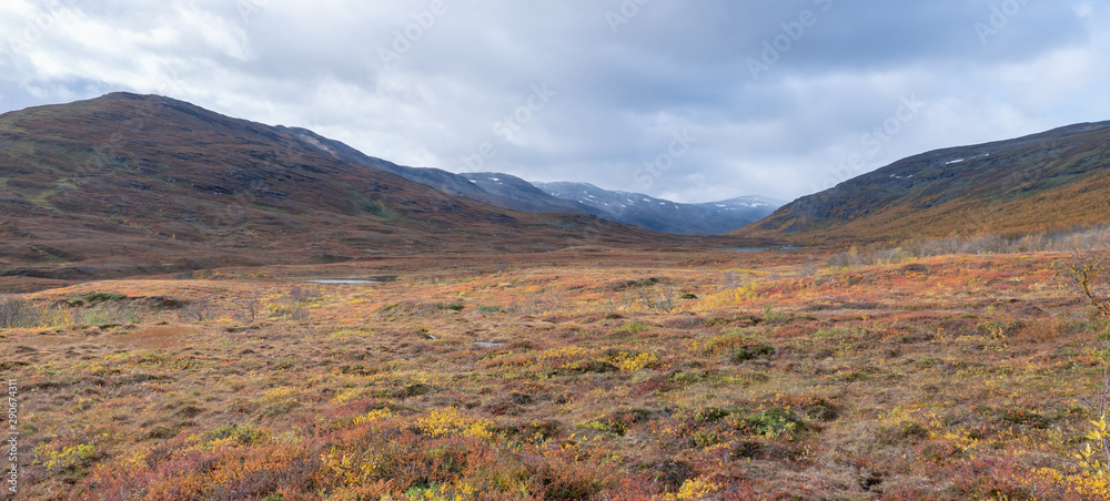 Mountain landscape in autumn. Abisko national park in Sweden.
