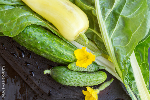 fresh green vegetables. salad ingredients on dark background.