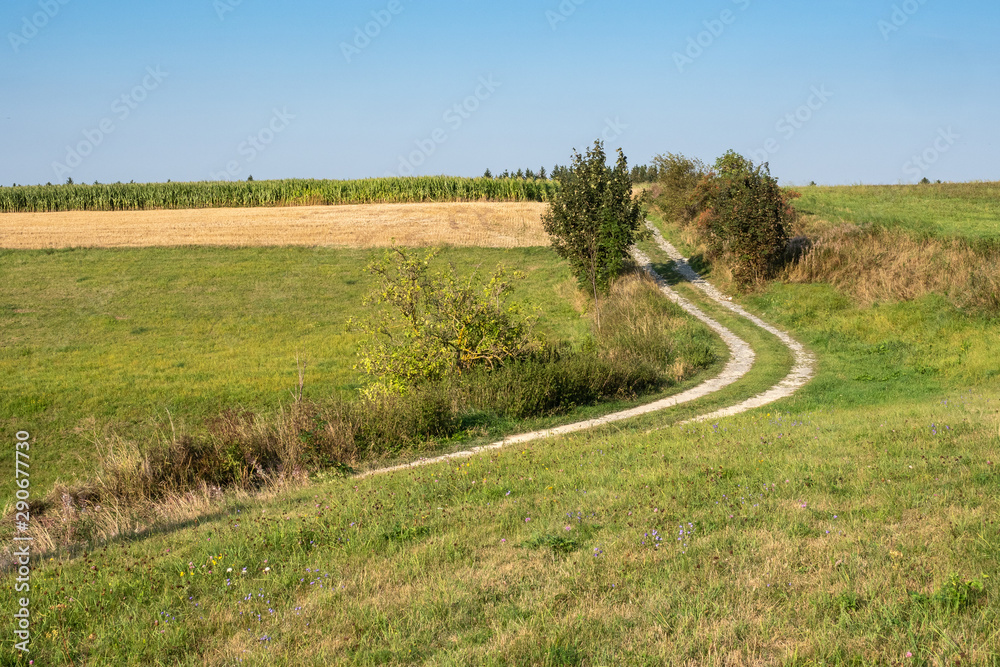 Dirt road between green meadows