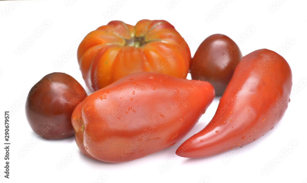 freshness various shapes of tomatoes isolated on white background freshness various shapes of tomatoes isolated on white background