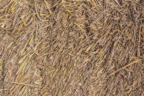 background of dry straw