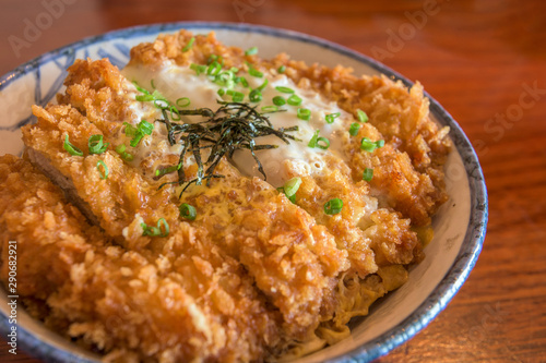 Japanese deep fried pork cutlet (tonkatsu) - Japanese food style