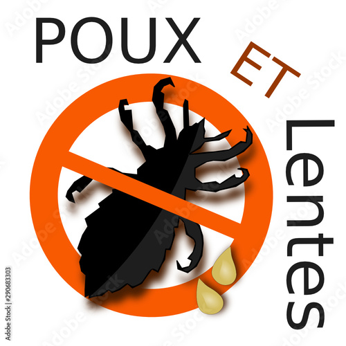 Illustration poux et lentes