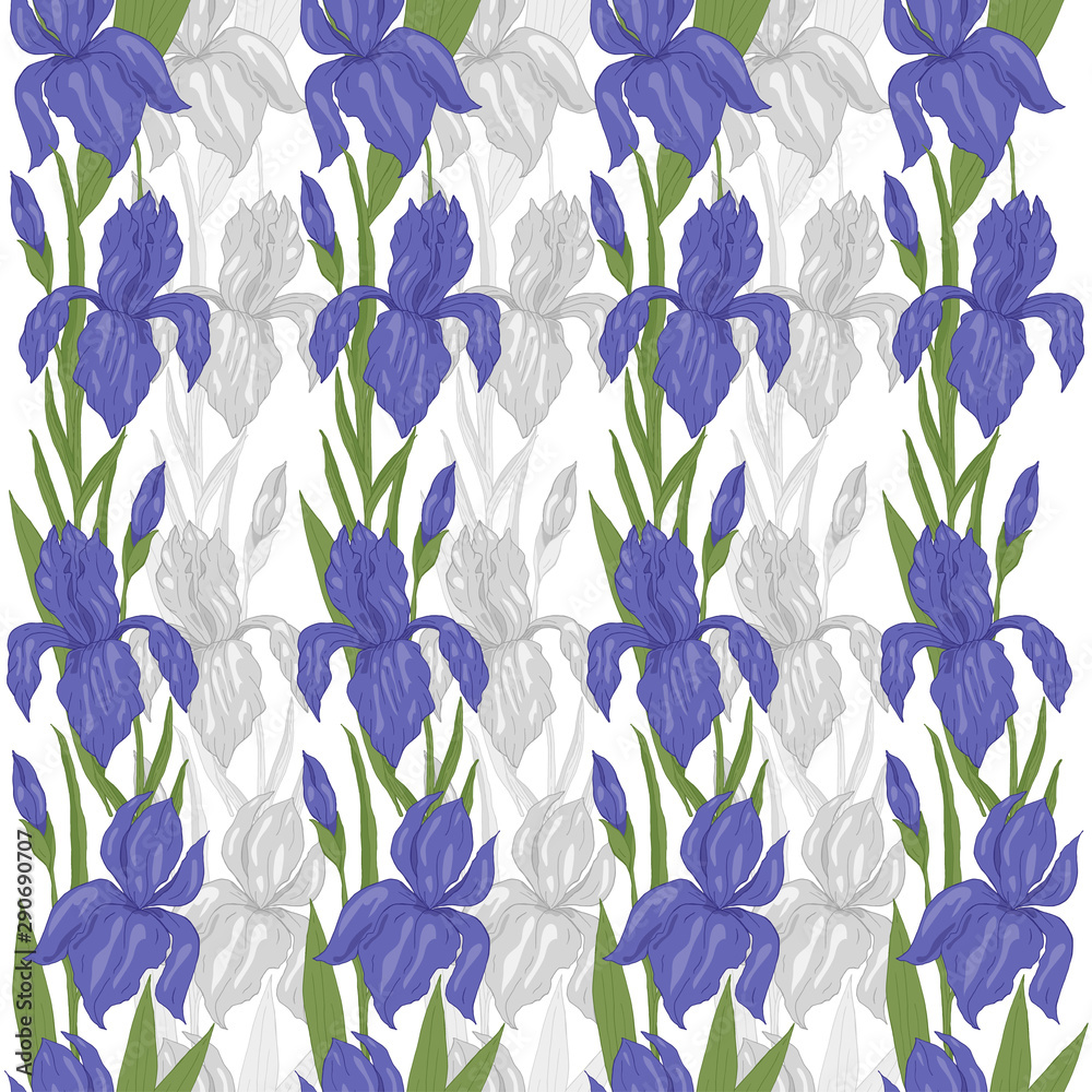 Fototapeta premium Seamless border, endless brush of hand drawn flower iris with leaves vector illustration