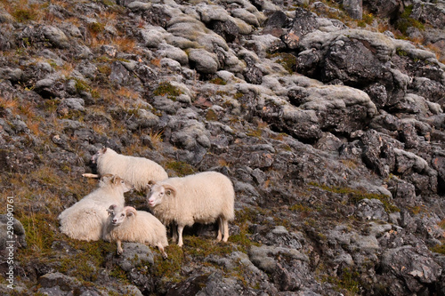 islande 2019