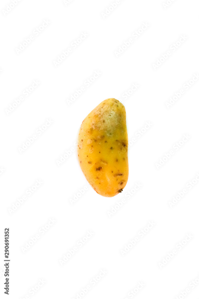 Potato Close up for isolated
