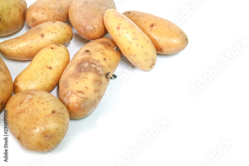 Potato Close up for isolated