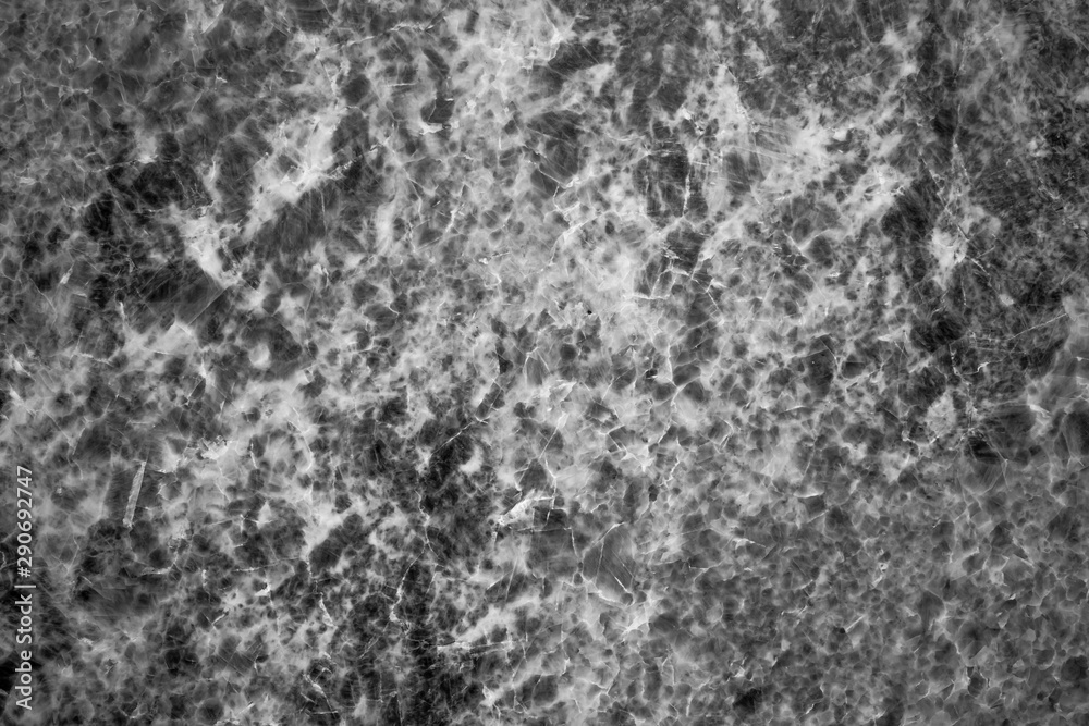 The abstract marble background , black and white. The abstract marble background , black and white.