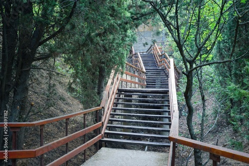 Fototapeta Naklejka Na Ścianę i Meble -  Stairs in the Park