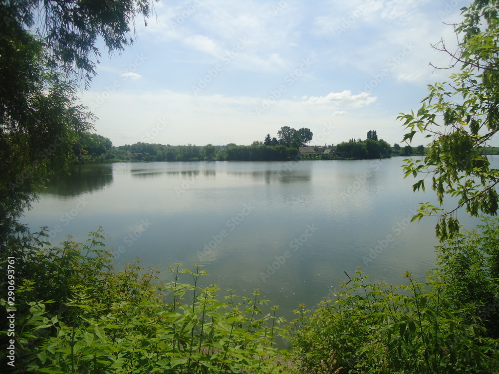 View for fishing pond