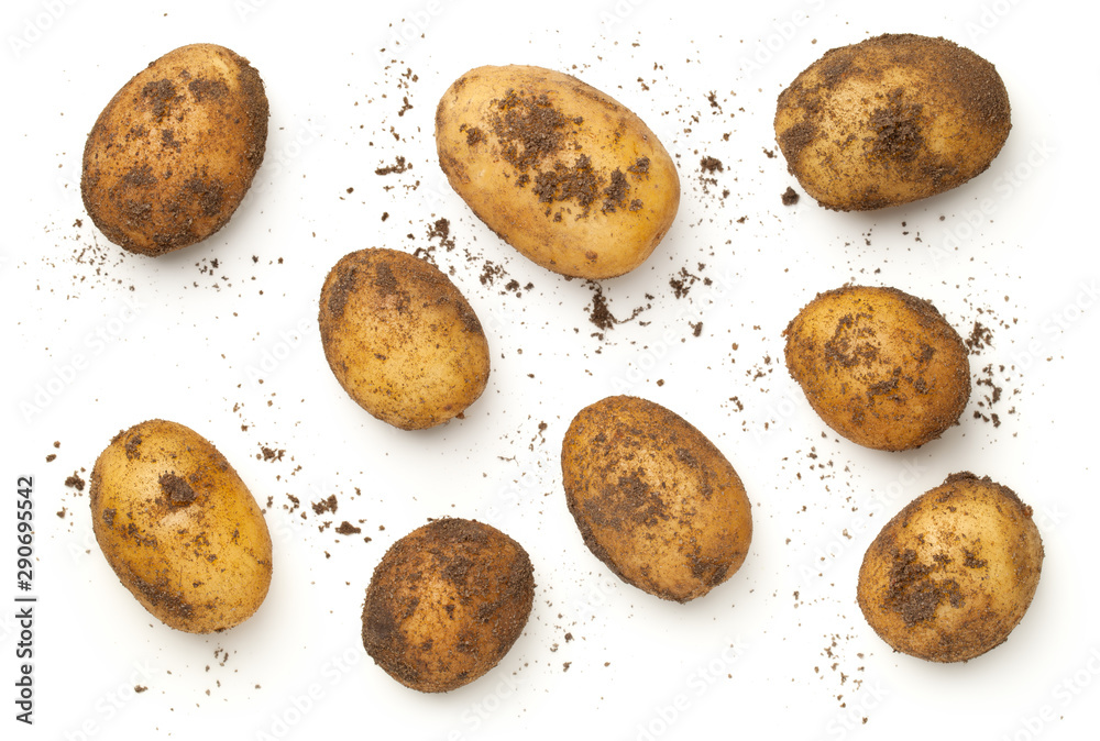 Fresh Organic Potatoes Isolated On White Background - obrazy, fototapety, plakaty 
