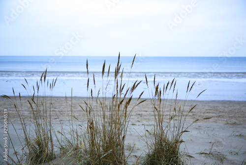 Sand texture on the beach. Cold seaside background. Baltic sea.