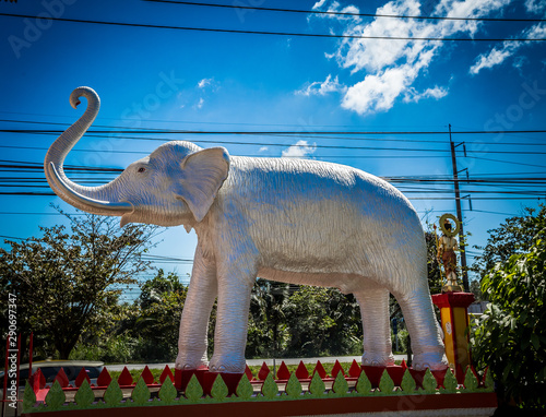 Statue of white elephant, Thailand