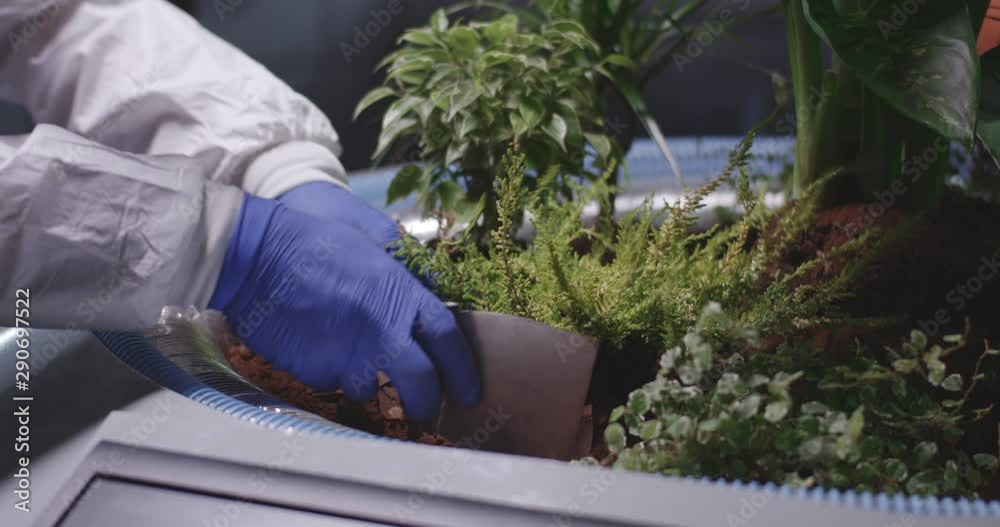 Scientist planting seedlings on a Mars base Scientist planting seedlings on a Mars base