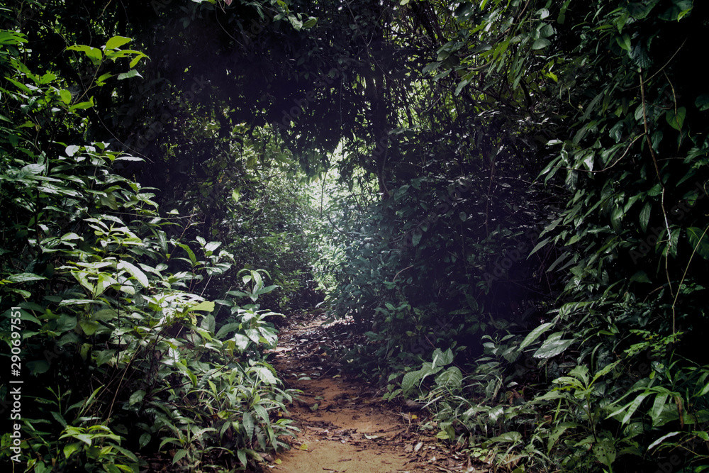 Obraz premium Preah Monivong Bokor National Park is a national park in southern Cambodia's Kampot Province that is designated as an ASEAN Heritage Park and is located in the Dâmrei Mountains