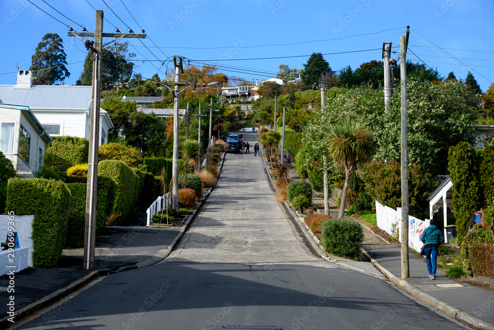 Baldwin Street, steepest street in the world in Dunedin, New Zealand Baldwin Street, steepest street in the world in Dunedin, New Zealand