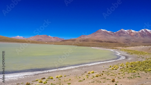 Plateau Altiplano with very untypical nature in Bolivia