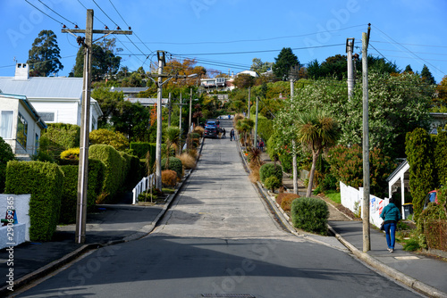 Baldwin Street, steepest street in the world in Dunedin, New Zealand