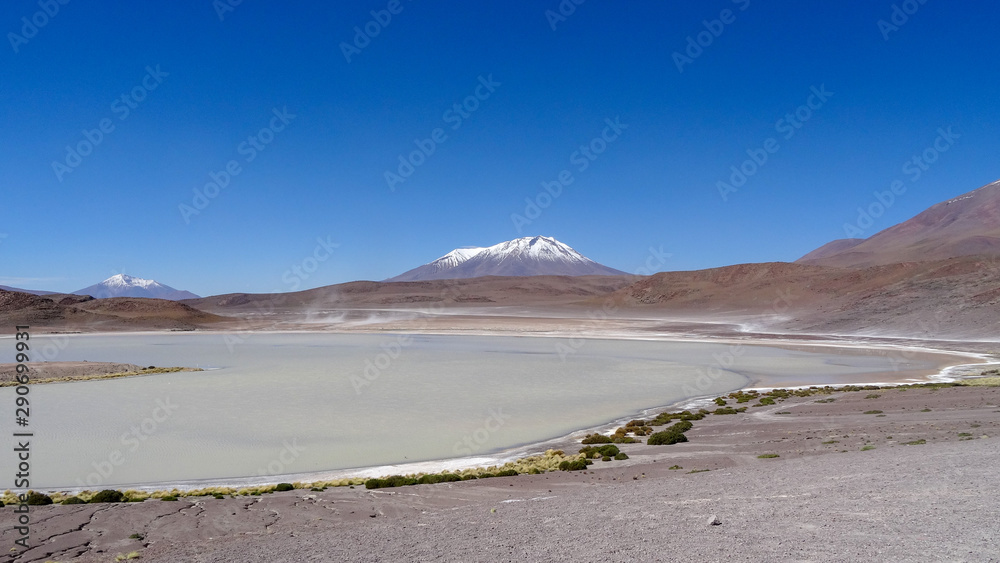 Plateau Altiplano with very untypical nature in Bolivia Plateau Altiplano with very untypical nature in Bolivia