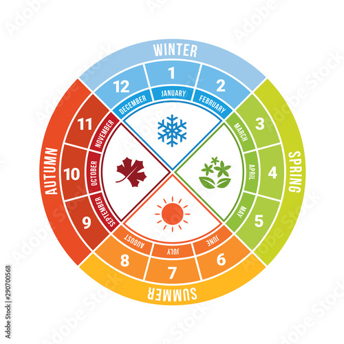 4 season circle diagram chart with icon sign and month time vector design
