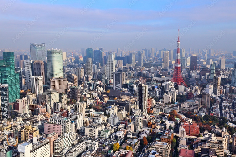 Tokyo Japan. City aerial view.