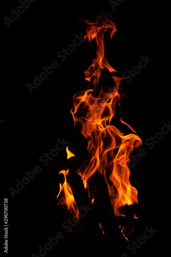 The fire. Tongues of fire. Flame close up. Photo background with fire. Fire texture with copyspace