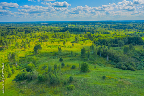 Wallpaper Mural Top view of fresh green color fields Torontodigital.ca
