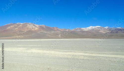 Plateau Altiplano with very untypical nature in Bolivia