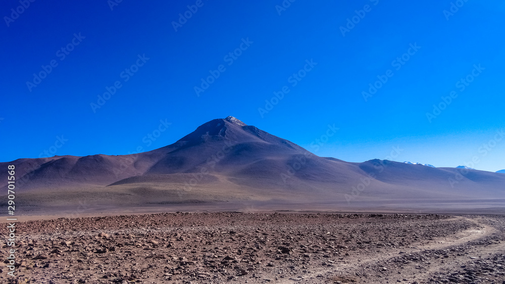 Plateau Altiplano with very untypical nature in Bolivia