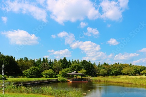 風景 池 空 秋 杤木 日本