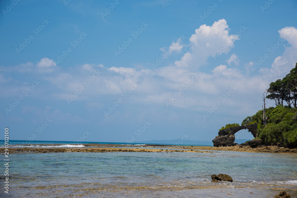 view of tropical island in the sea