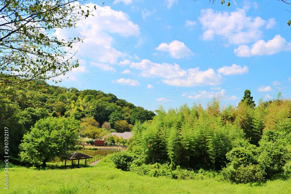 空 雲 森 池 木 竹 秋 杤木 日本 空 雲 森 池 木 竹 秋 杤木 日本