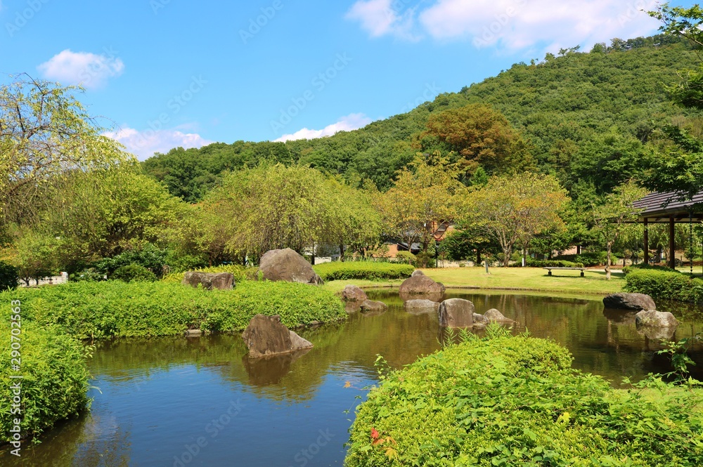 風景　秋　山　池　空　庭園　杤木　日本
