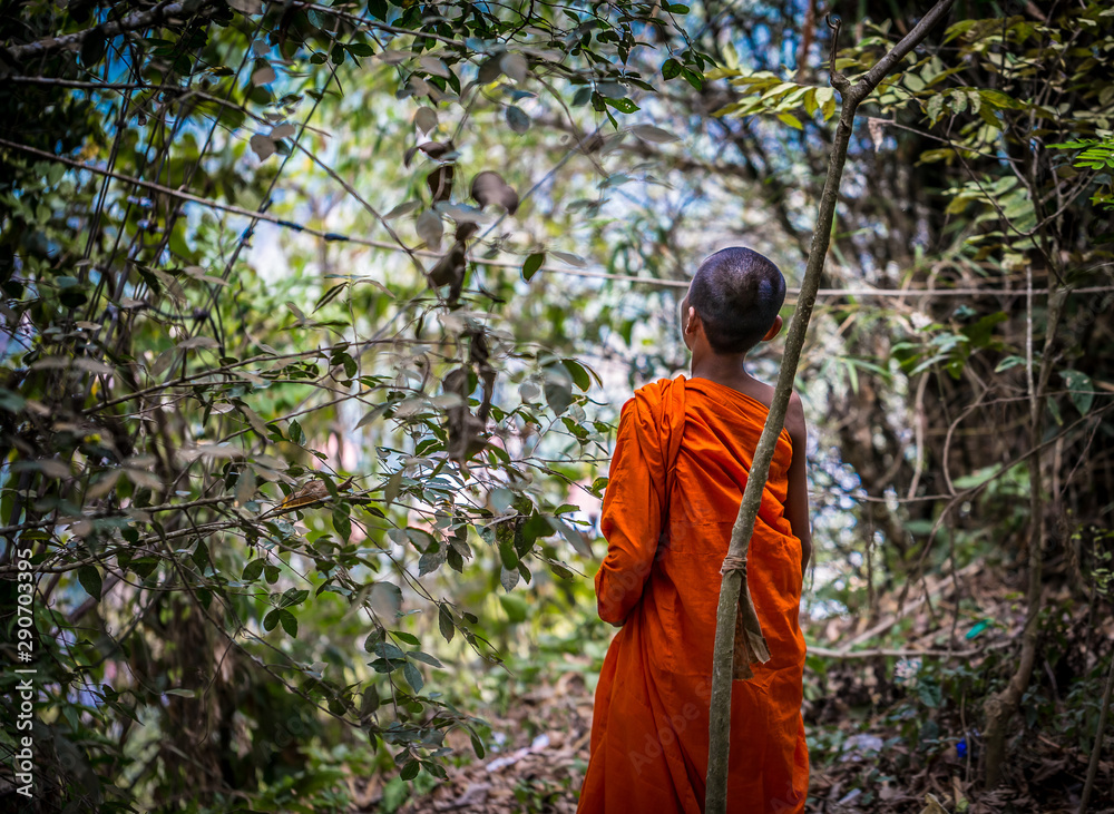 Buddhist monk, Thailand. Buddhist monk, Thailand.