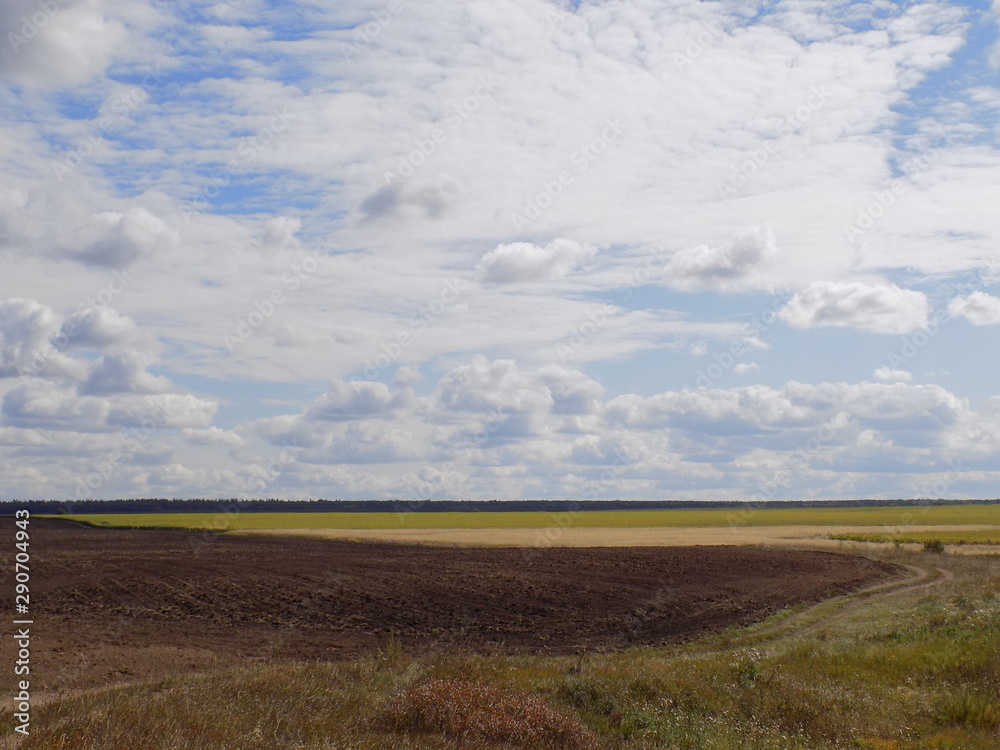 Beautiful summer landscape. Wide steppe, high blue sky with snow-white clouds. Space and freedom. Beautiful summer landscape. Wide steppe, high blue sky with snow-white clouds. Space and freedom.